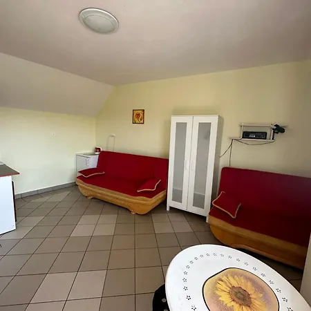 Dzika Roza Homestay *