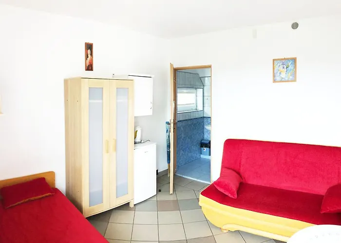 Dzika Roza كارفيا